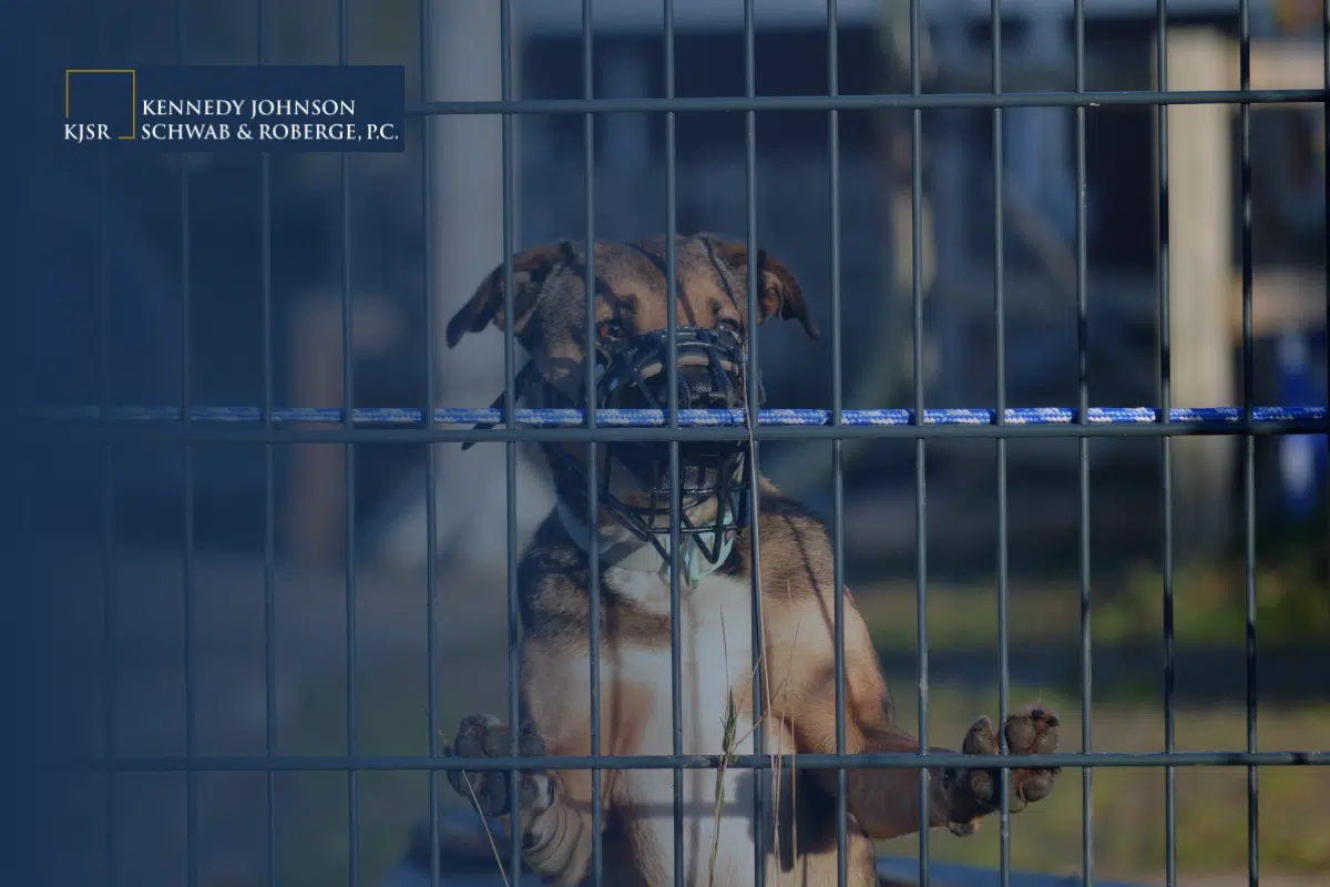 Connecticut Dog Bite Lawyers